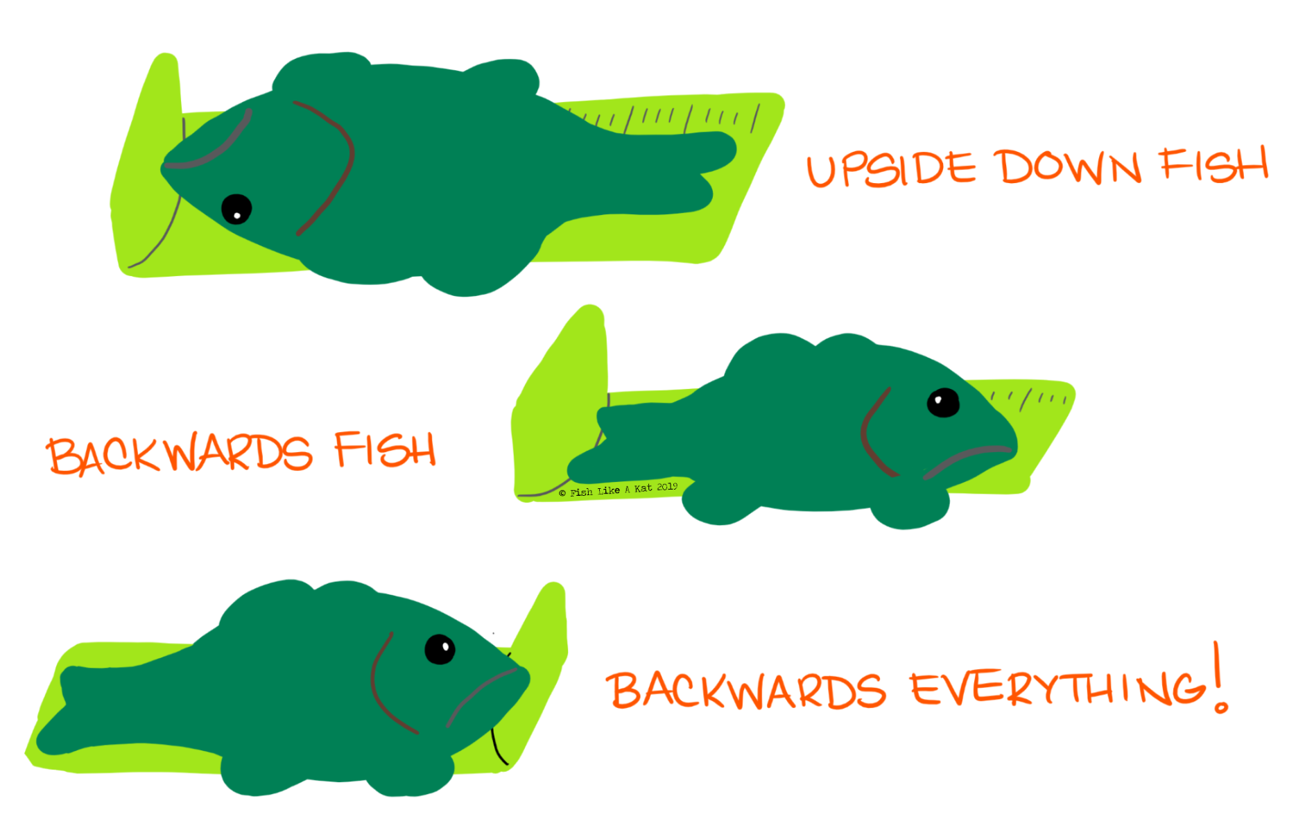 Drawing of 3 fish facing the wrong directions on a Hawg Trough